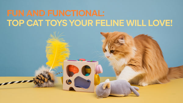 Cat Toys: Keeping Your Pet Friend Happy and Healthy