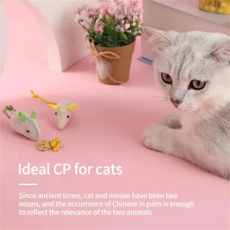 Home Cat Toy Cute Modeling Kitten Toy Mini Mice Toy Herbal Rat Toy Plush Herbal Mouse Universal Cat Accessories Toys For Cats