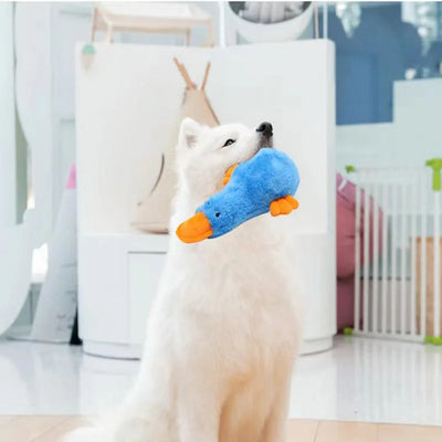 Cute Cat Toys Funny Interactive Plush Duck Cat Toy Mini Teeth Grinding Catnip Toys Kitten Chewing Toy Pets Accessories